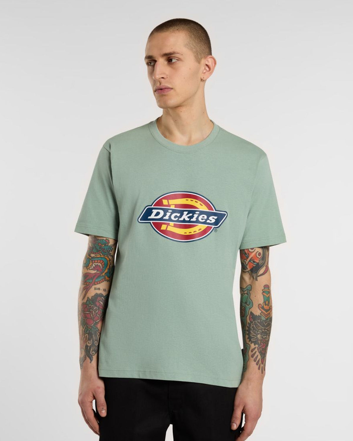 Dickies Icon logo T-paita - Vihreä