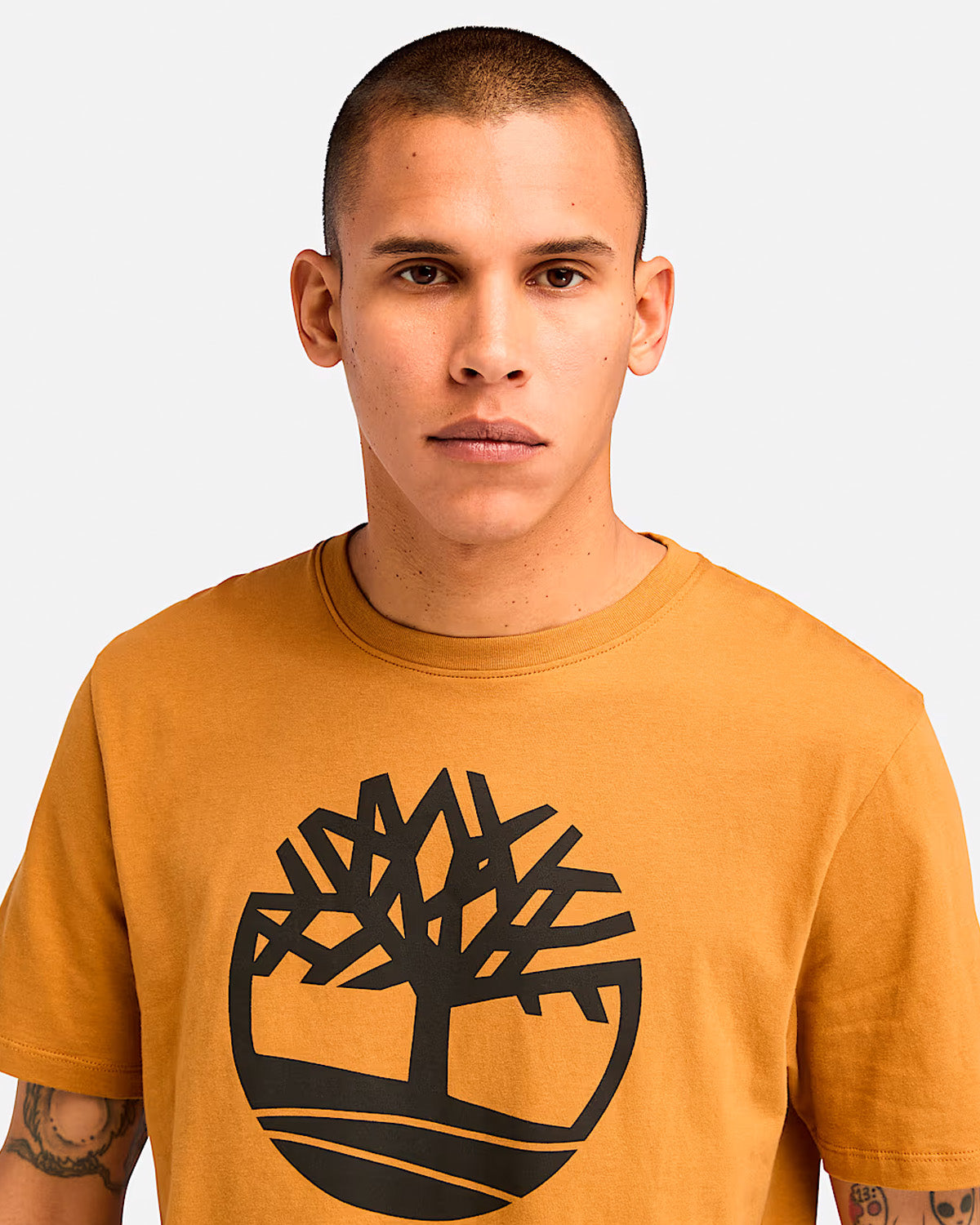 Timberland Kennebeck River Tree t-paita - Kameli